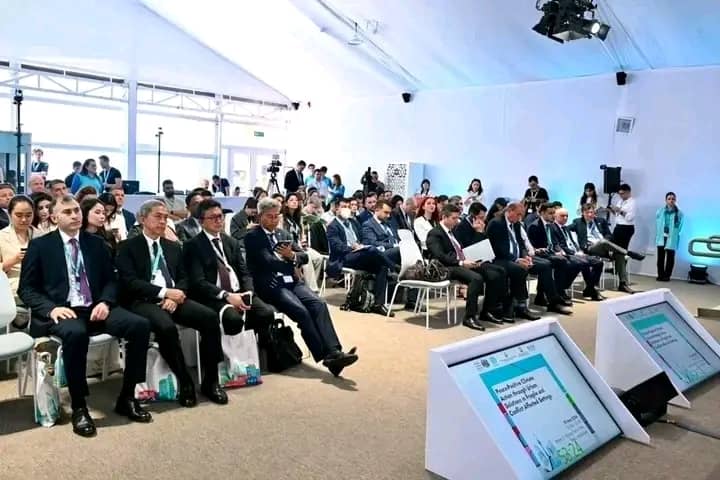 Protect Your Environment Foundation highly represented at the UN World Urban Forum in Azerbaijan, Eastern Europe